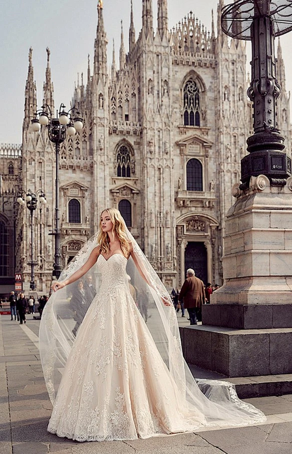 艳色内的花瓣采集图片-柠檬木