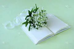 花束,百合花,铃,可爱的,周年纪念,贺卡,彩色背景,浪漫,简单,春天