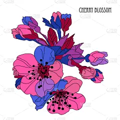 华丽的,樱桃树,请柬,壁纸,樱桃,婚礼,装饰物,春天,排列,复古