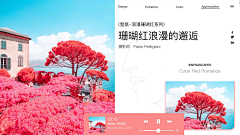 羽墨啊采集到P-配色