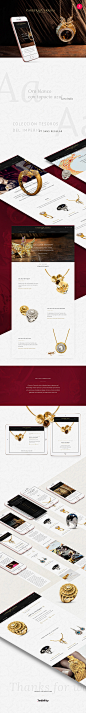 Carrera y Carrera Website - APP 欣赏