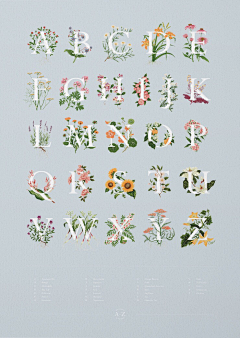 陈择笙采集到字母+花卉