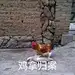 采集图片