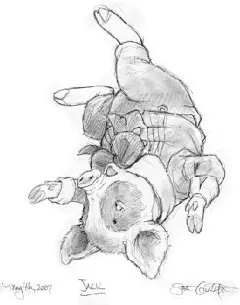 斯科特.古斯塔森（Scott Gustafson）动画学院的学习没能让Scott成为一个动画师却成为一位优秀的插画家。在过去25年创作生涯里，Scott创作了《圣诞前夜》《彼得潘》等优秀插画书。近年完成的《经典童话故事》，也使Scott从众多科幻和幻想艺术家中脱颖而出，获得了Chesly最佳图书插画奖……