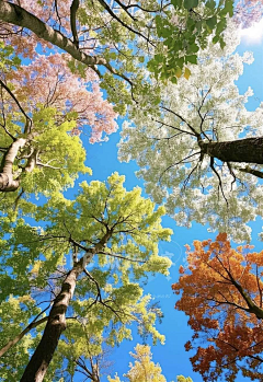 BusyFruit☀采集到风景