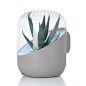 ANDREA by Mathieu Lehanneur and David Edwards - Dezeen