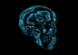 Artificial Anatomy 2 : Artificial Anatomy is an ongoing personal project intended to explore our understanding and perception of surface, texture and volume. Part 2 uses flashing electroluminescent wire to illuminate sections of a human head and skull. Th