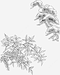 矢量线描中草药_新图网ixintu.com