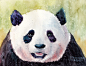#熊猫艺术#  熊猫艺术-PandaArt