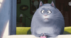 #0802爱宠大机密# 私藏冰冰专场表情包再来一发 转圈的冰冰、搞破坏的冰冰，与玩具鼠玩耍的冰冰，完美诠释了冰冰的高贵冷艳，而惊讶的冰冰、吐舌的冰冰、偷吃的冰冰，又将冰冰的呆萌气质展露无疑，简直是一个集才华与美貌于一身的女子呀~不过，冰冰面对美食想吃不敢吃的状态，是不是现在减肥的你...展开全文c