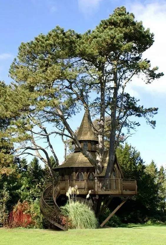 树屋，童话般的构想却成为现实