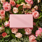 a pink box surrounded by fresh roses and green leaves, in the style of nature-inspired imagery, simplicity, monochromatic color palettes, 32k uhd, lively tableaus, pastel hues, kitsch aesthetic, delicacy of touch