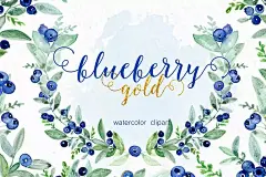 优雅水彩蓝莓插画剪贴画 Blueberry gold. Watercolors - 贝图网