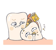 ZHAObinbin7采集到儿牙
