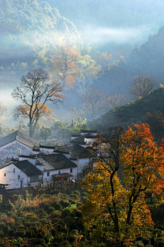 华衣出格采集到背景