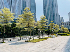 心有艳阳采集到城市公共景观