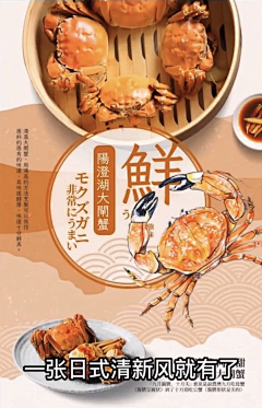 Freescj采集到大闸蟹
