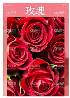 玫瑰  - 源文件下载【酷图网】鲜花,鲜花海报,鲜花盆景,花店,鲜花速递,送花,鲜花定制,婚庆,玫瑰花,百合花,定制鲜花,满天星,花,郁金香,鲜花网,鲜花礼品网,鲜花图片,鲜花店,鲜花团购,鲜花促销,唯美,五月花,花语,鲜花批发,婚礼鲜花,鲜花预订,鲜花名片,鲜花造型,花店海报,会场布置,花卉,插花,花店促销,花店会员卡,花店招牌