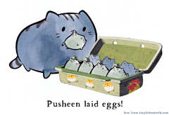 Senny-森妮采集到Pusheen
