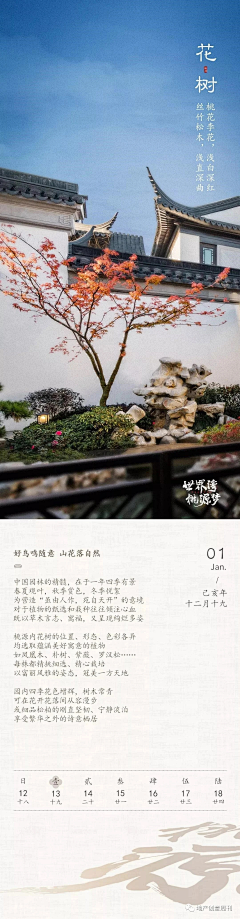 玻璃樱花采集到中式