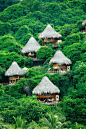 Thatched Roofs, Sierra Nevada de Santa Marta, Colombia