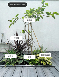 喵呜达达兔采集到植物