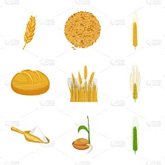 品牌名称,玉米,全麦,农业,大麦,面包,食品,收集,设计,糠