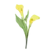 百合花 高质量花卉花朵PNG免抠图_4.-Lily
