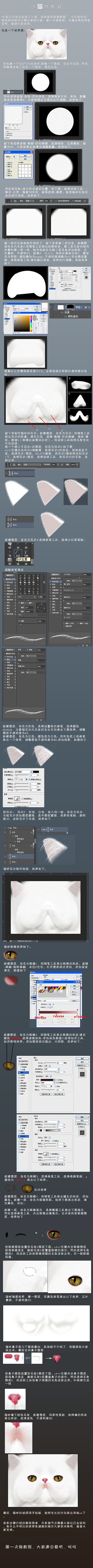 【新手教程：PS打造毛茸茸可爱的小猫咪】...