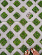 Parking lot: grassy paving - put mother-of-thyme or other low-growers that don't need mowing, and use it for parking lots instead of asphalt. Most wil survive. What doesn't - put asphalt there only. And you will end up with a less heated, more water-absor