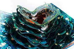 真正的立体书可不是豪华加长版的贺年卡_翻书党_澎湃新闻-The Paper