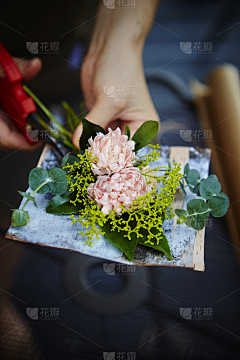 络络renee采集到花艺