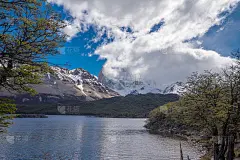 卡普里湖(Capri lake)，菲茨罗伊山(Fitz Roy mountain)，还有一些树木。蓝