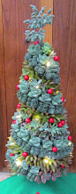 This beautiful succulent holiday tree stands approximately 10 inches tall and is approximately 6 inches in diameter at the base. It comes: 