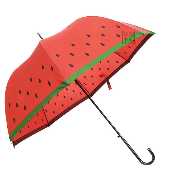 西瓜长柄伞