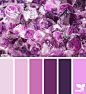 Design Seeds : Design Seeds color palettes ... posted daily for all who love color.