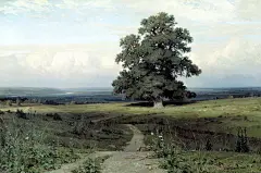 【美術世界】著名风景画家希施金(Ivan Ivanovich Shishkin)绘画作品(1)[36P] -  NO.1画室 - .