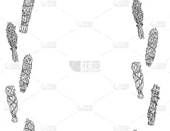 鼠尾草涂抹棍子手绘字母格式无缝模式。草束固定装饰品