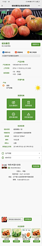 产品溯源