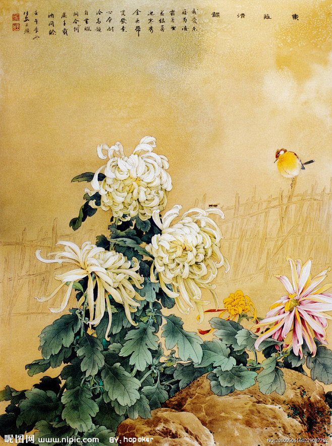 花鸟画菊花