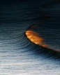 金色海浪 | Jon Sanchez ​​​​