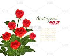 花束,绿色,玫瑰,叶子,红色,分离着色,贺卡,纹理效果,夏天,生日