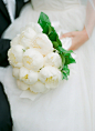 今日大寒，送你一束洁白如雪的手捧花+来自：婚礼时光——关注婚礼的一切，分享最美好的时光。#手捧花#
