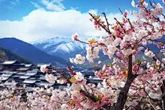 春天花朵山川素材图片背景