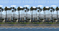 Stereogram by 3Dimka: Santa Barbara. Tags: santa barbara, city, street, beach, palms, trees, lighthouse,cars, hidden 3D picture (SIRDS)