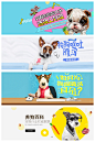 宠社区BANNER