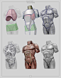 SRB Blog: Anatomy 4 sculptors join us http://pinterest.com/koztar/