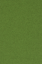 cloth_A1 (457)