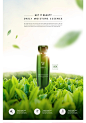 绿色植物化妆品海报茶叶美妆护肤品海报广告背景PSD设计素材模板-淘宝网