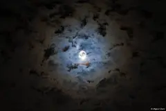 高清大图：最美的月亮【2009年的万圣节，摄于葡萄牙。图片中的月亮很应景，透露着一丝诡异的感觉。】

